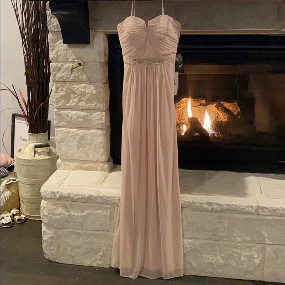 NWT Amazing blush gown! Adrianna Pappell
